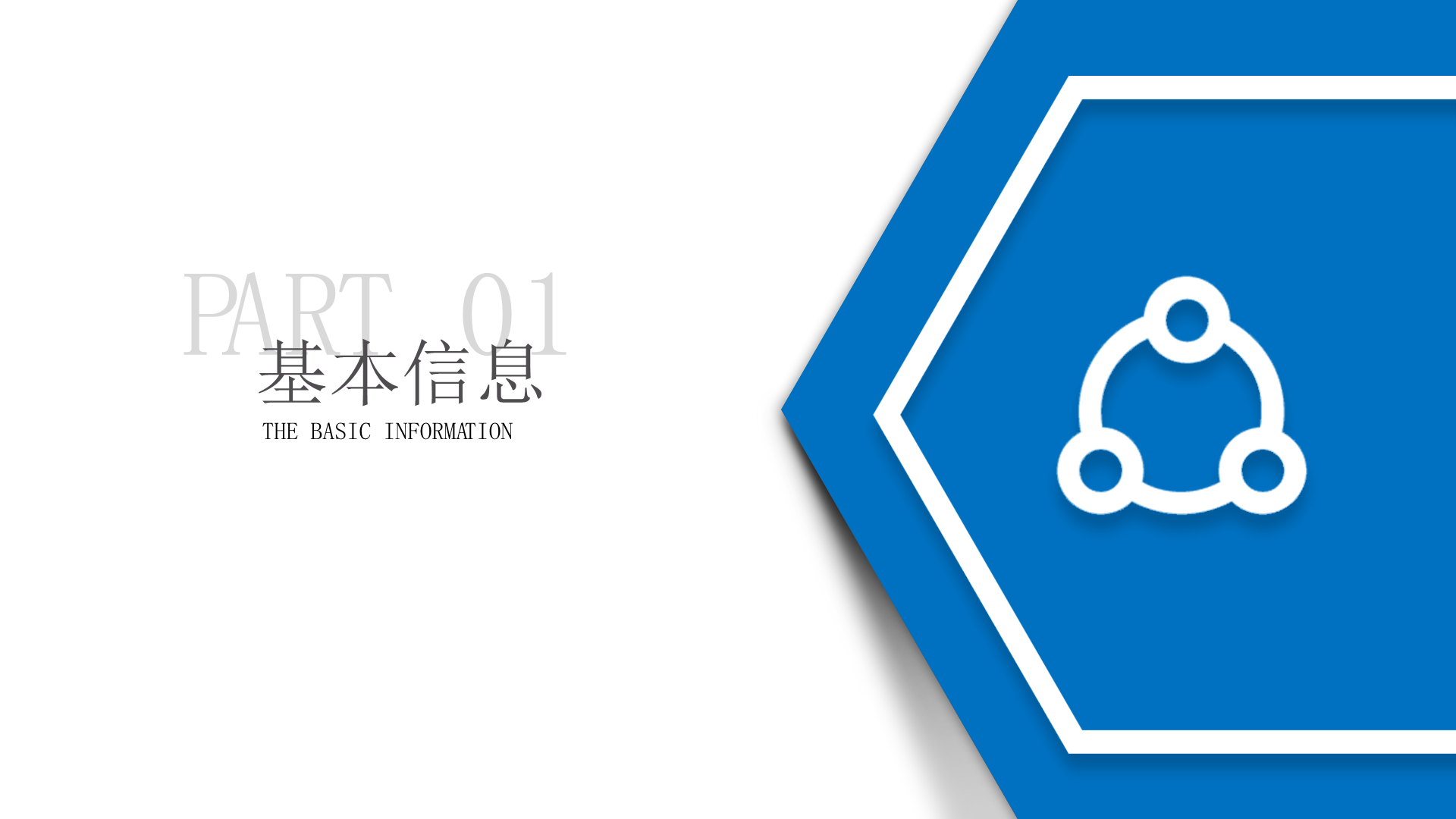 DZ系列集成式生物质蒸汽锅炉-详情3