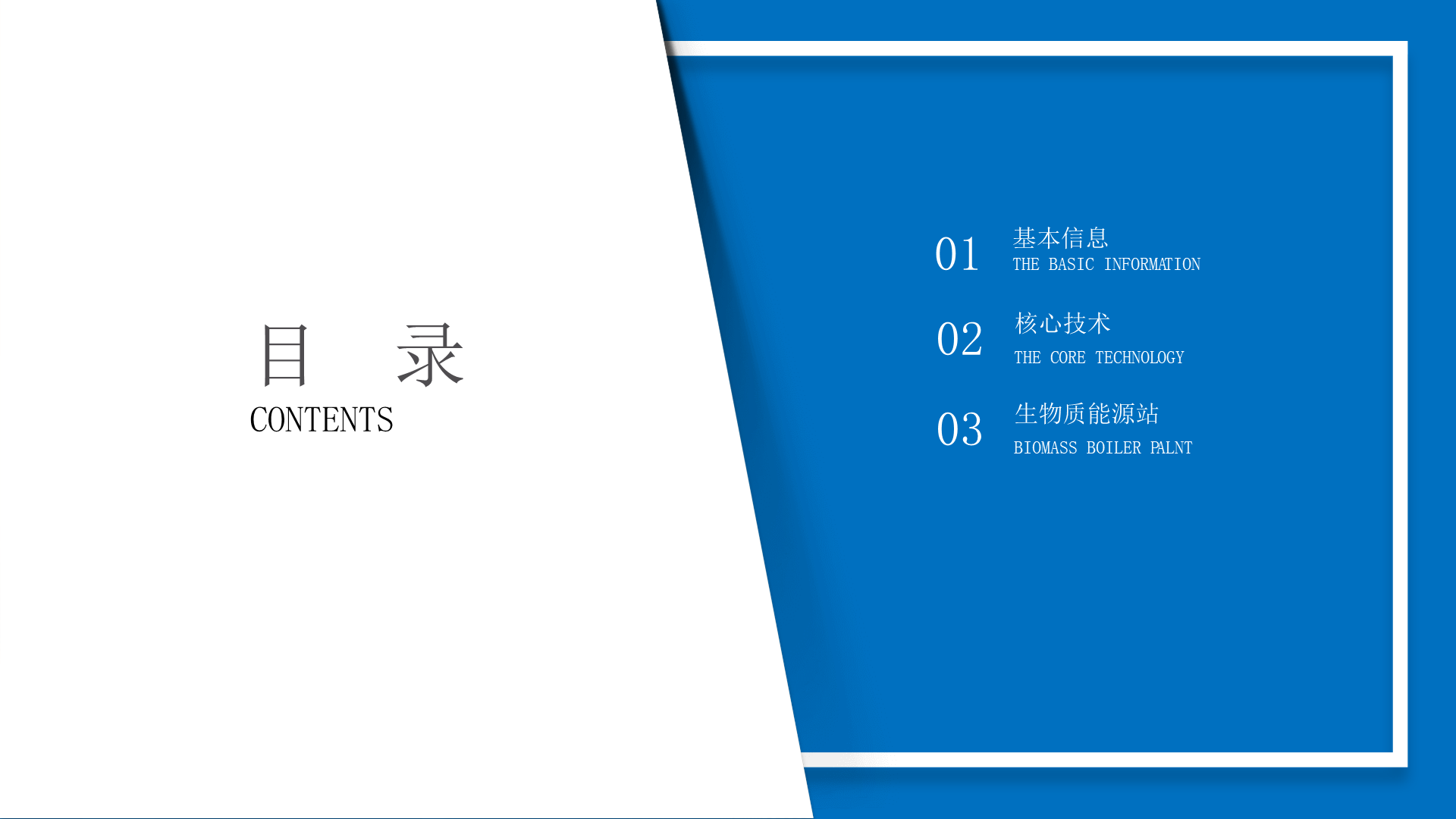 WWS-T系列半气化生物质蒸汽锅炉-详情2